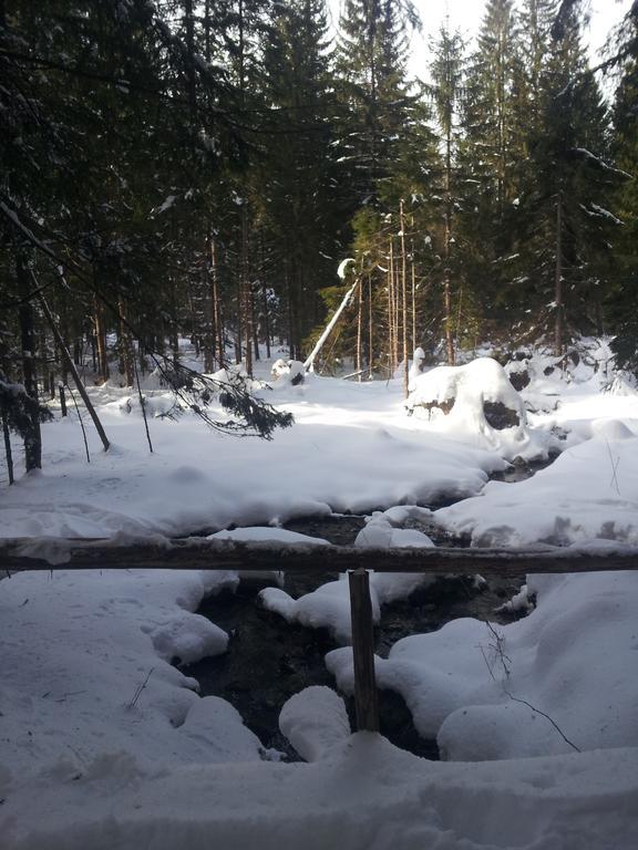 Ubytovanie Marta Vavrekova Habovka Luaran gambar
